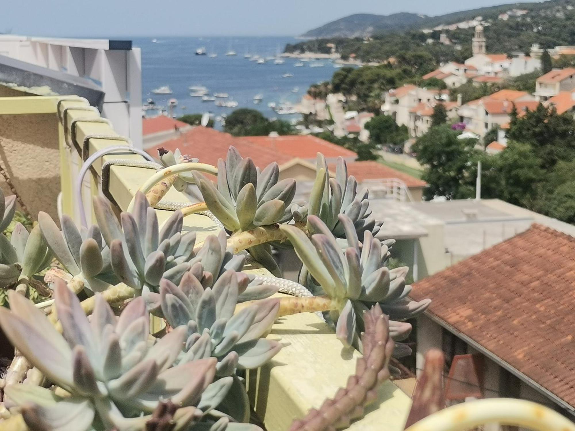 Apartments Green & Orange Hvar Town Eksteriør billede